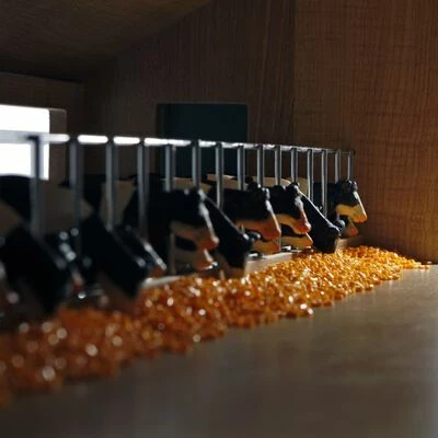 Kids Globe Grange de vaches 1:32 5 Kids Globe Grange de vaches 1:32 – Image 3